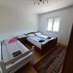 Dzeneta *