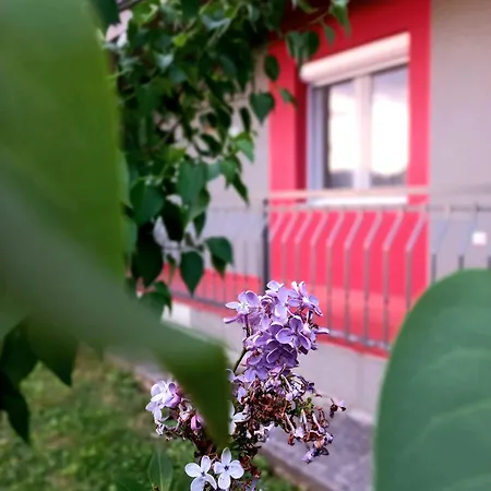 Dzeneta Appartement *