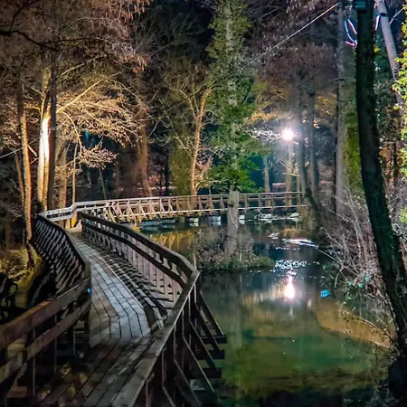 Apartament Dzeneta *