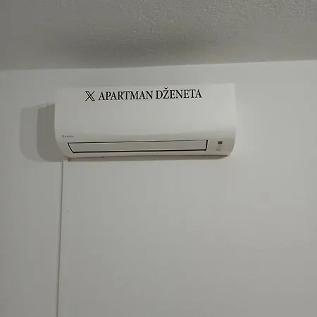 Dzeneta *
